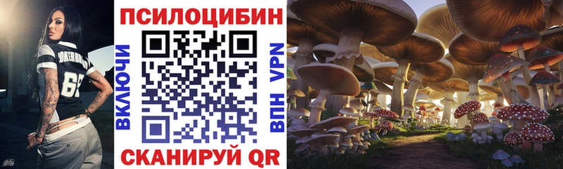 Галлюциногенные грибы Cubensis Нижнекамск