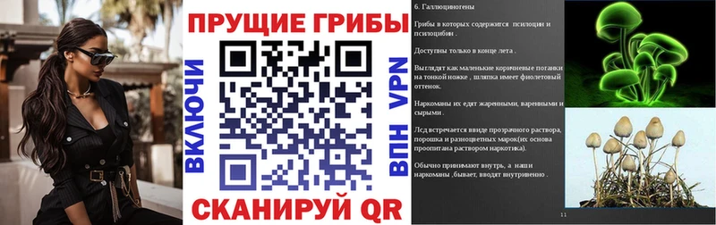 купить наркотики цена  kraken онион  Галлюциногенные грибы прущие грибы  Нижнекамск 