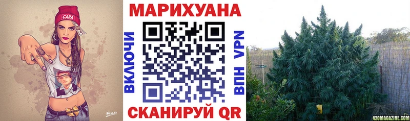Бошки марихуана конопля  darknet официальный сайт  Нижнекамск  кракен ТОР 
